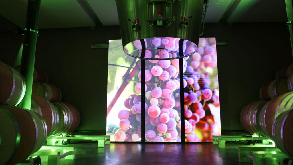 le chai des lumieres vignobles