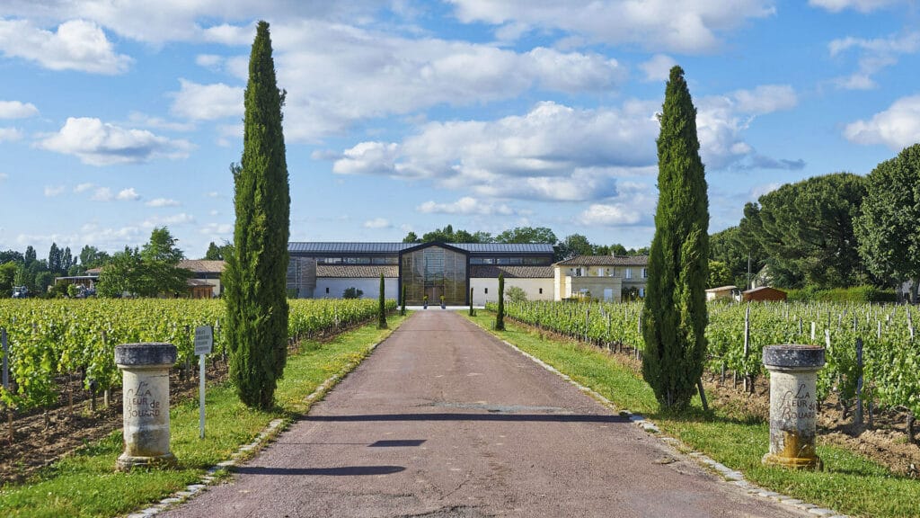 vignobles saint emilion