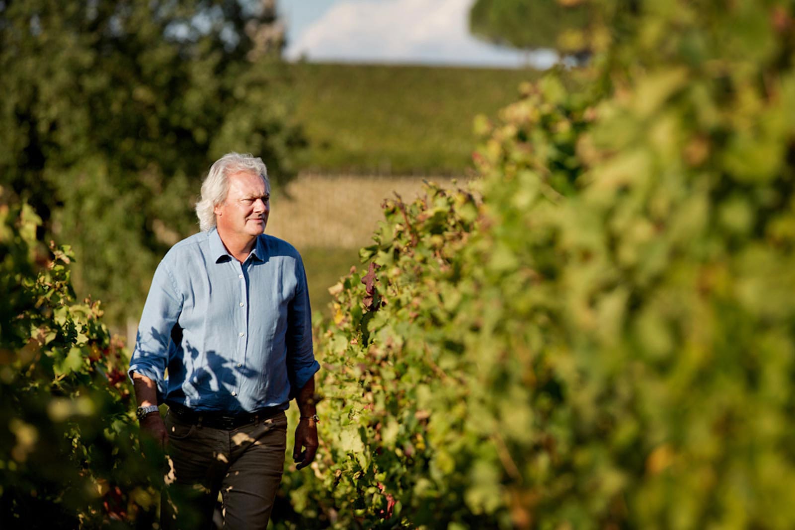hubert de bouard vignoble