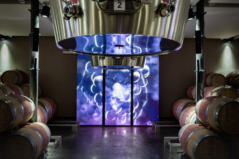 chais des lumieres bouard jpg