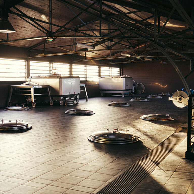 visite guidee chai saint emilion