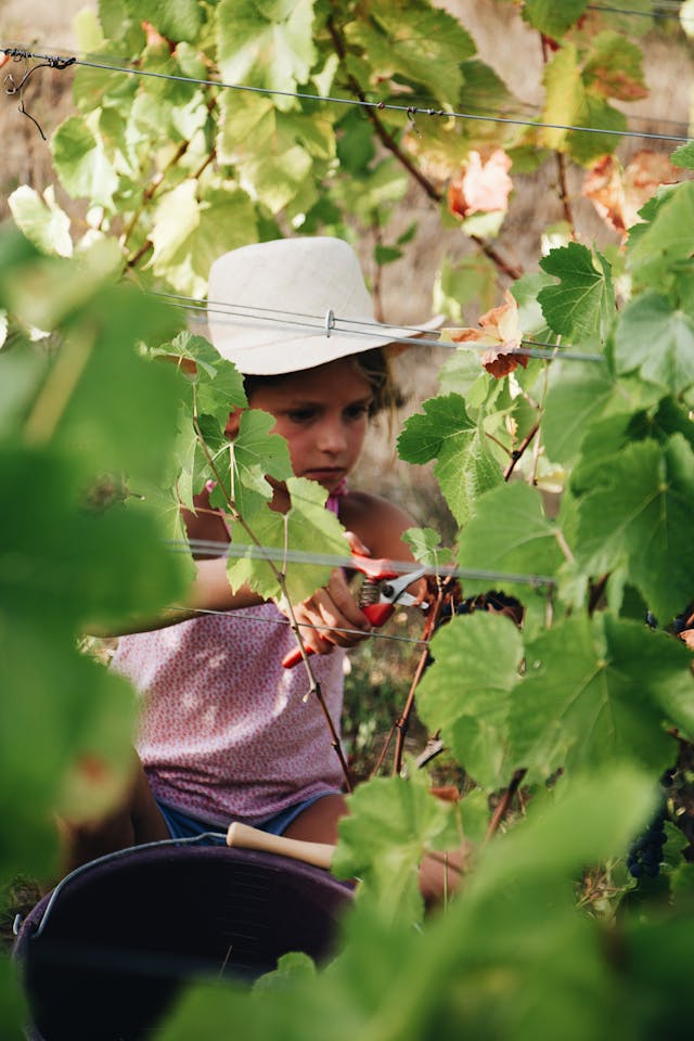 familles degustation vin bordeaux