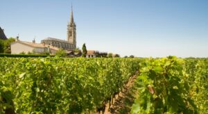 pomerol lalande vignobles