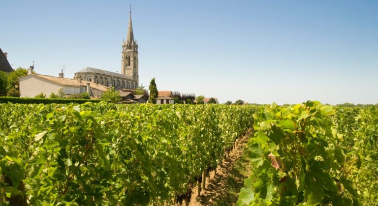 pomerol lalande vignobles