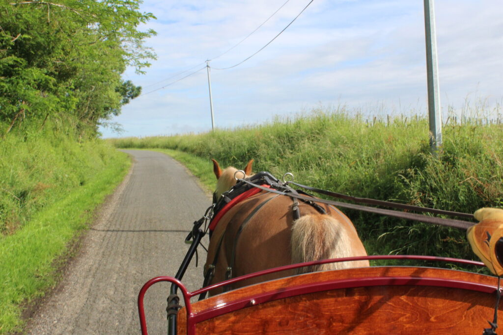 route du vignoble attelage saint emilion