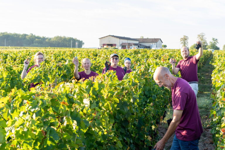 vendanges manuelles neac